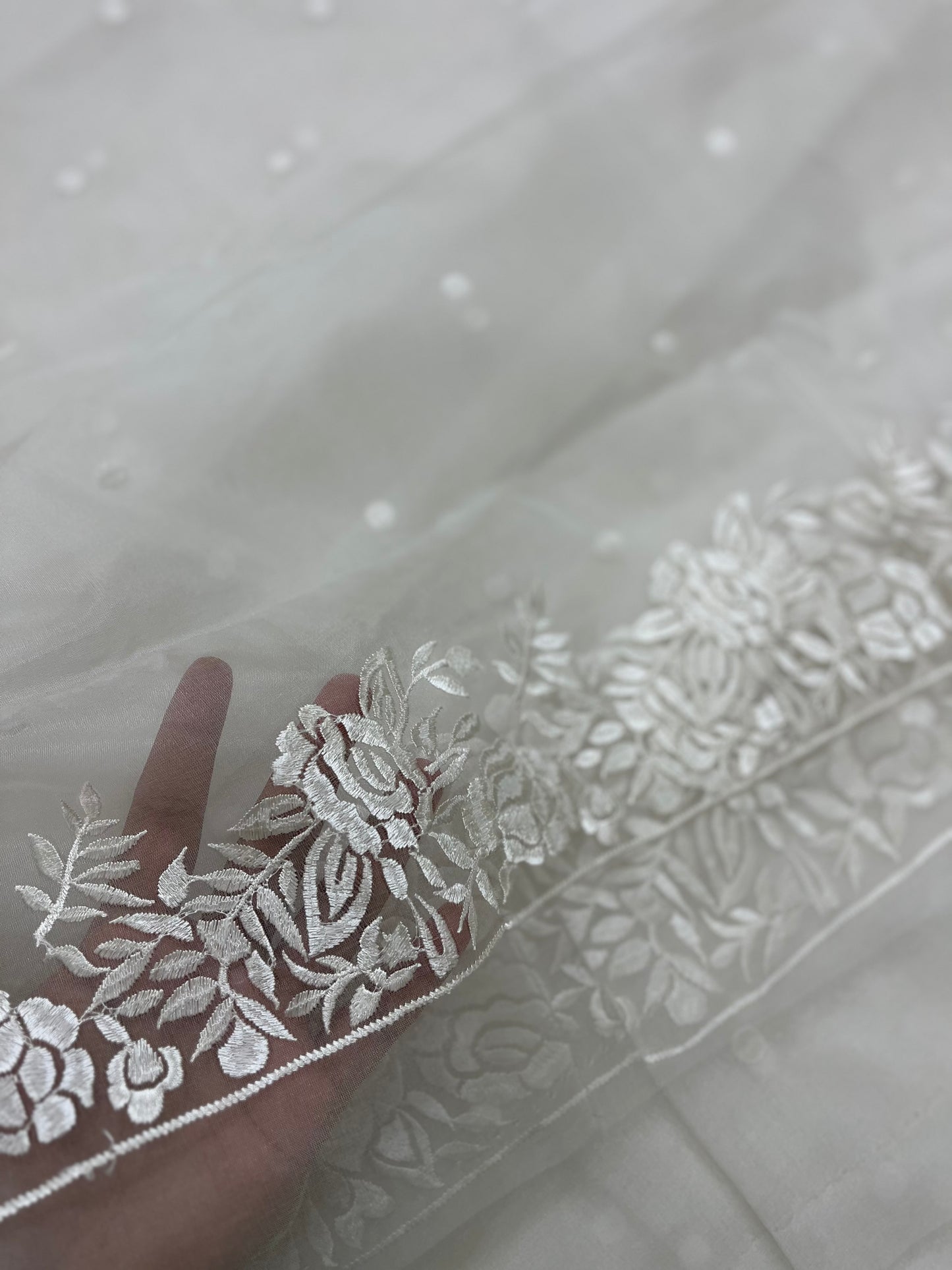 Organza saree