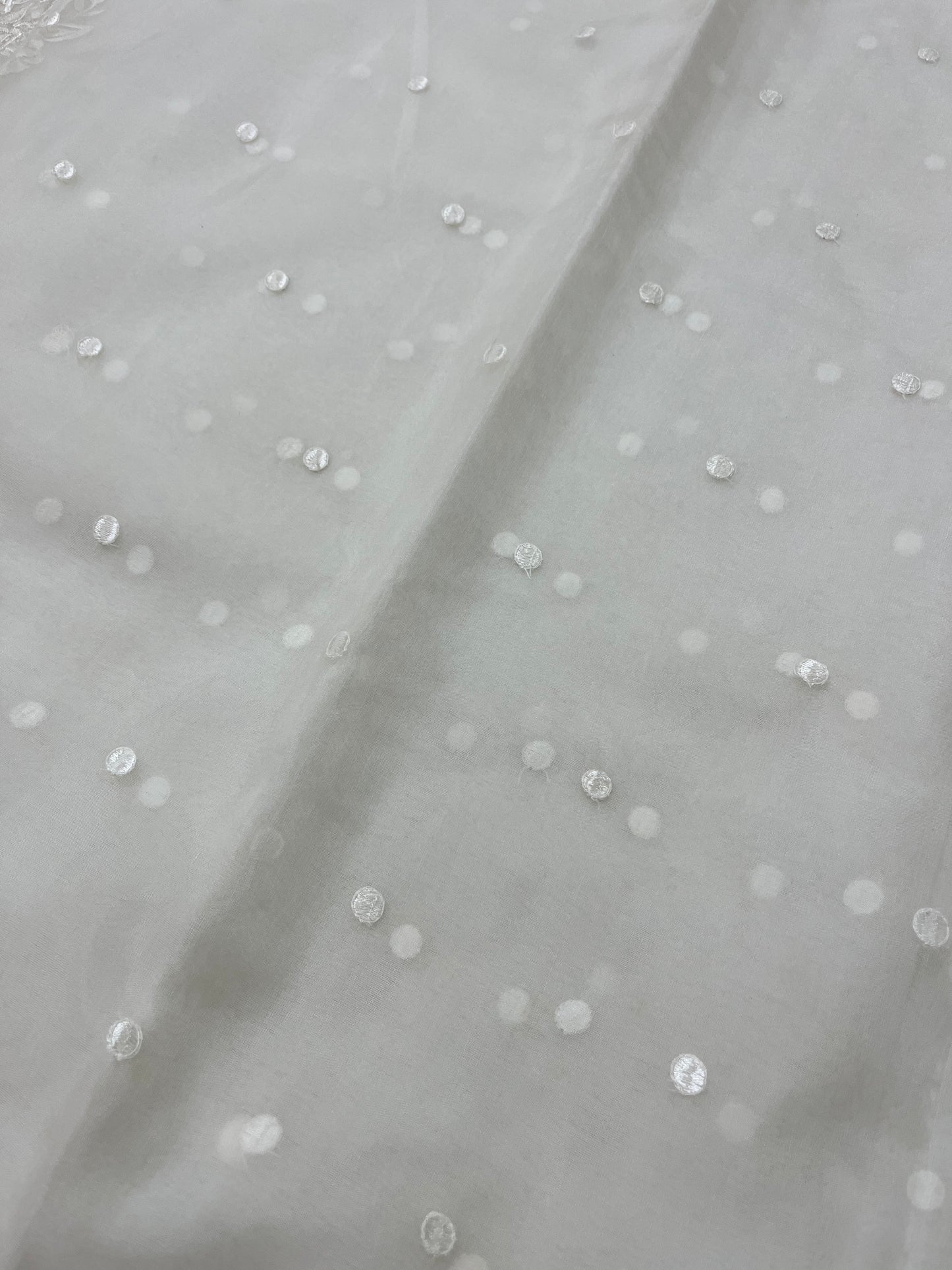 Organza saree
