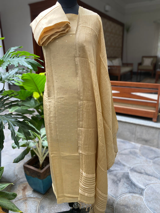 PA-D-131 Banarasi